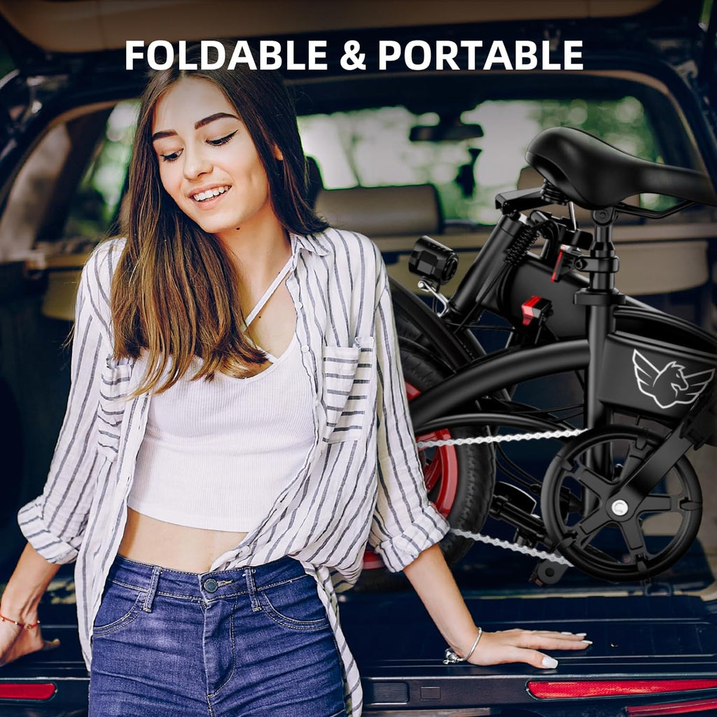 WINDHORSE C19 URBAN KNIGHTRIDER ELECTRIC BIKE - 350W Motor - 16mph - 19 miles range