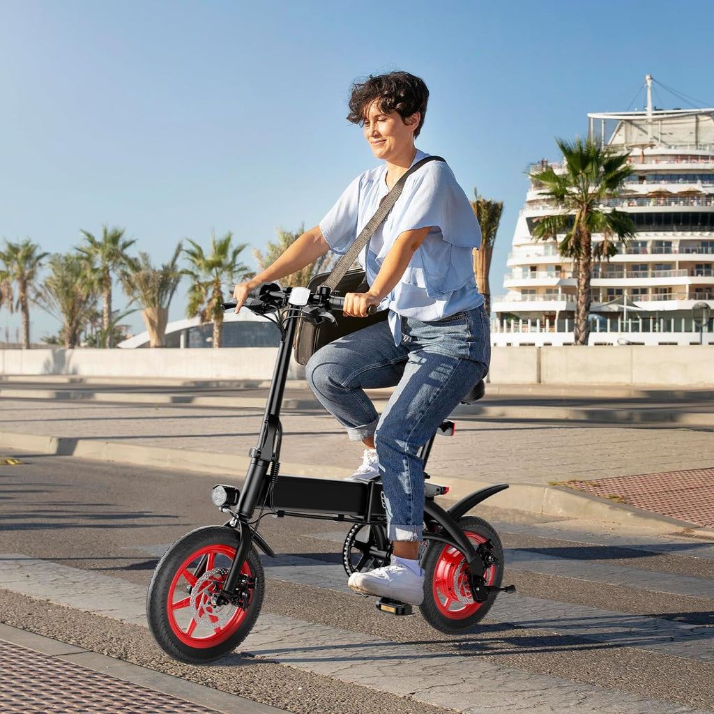 WINDHORSE C19 URBAN KNIGHTRIDER ELECTRIC BIKE - 350W Motor - 16mph - 19 miles range