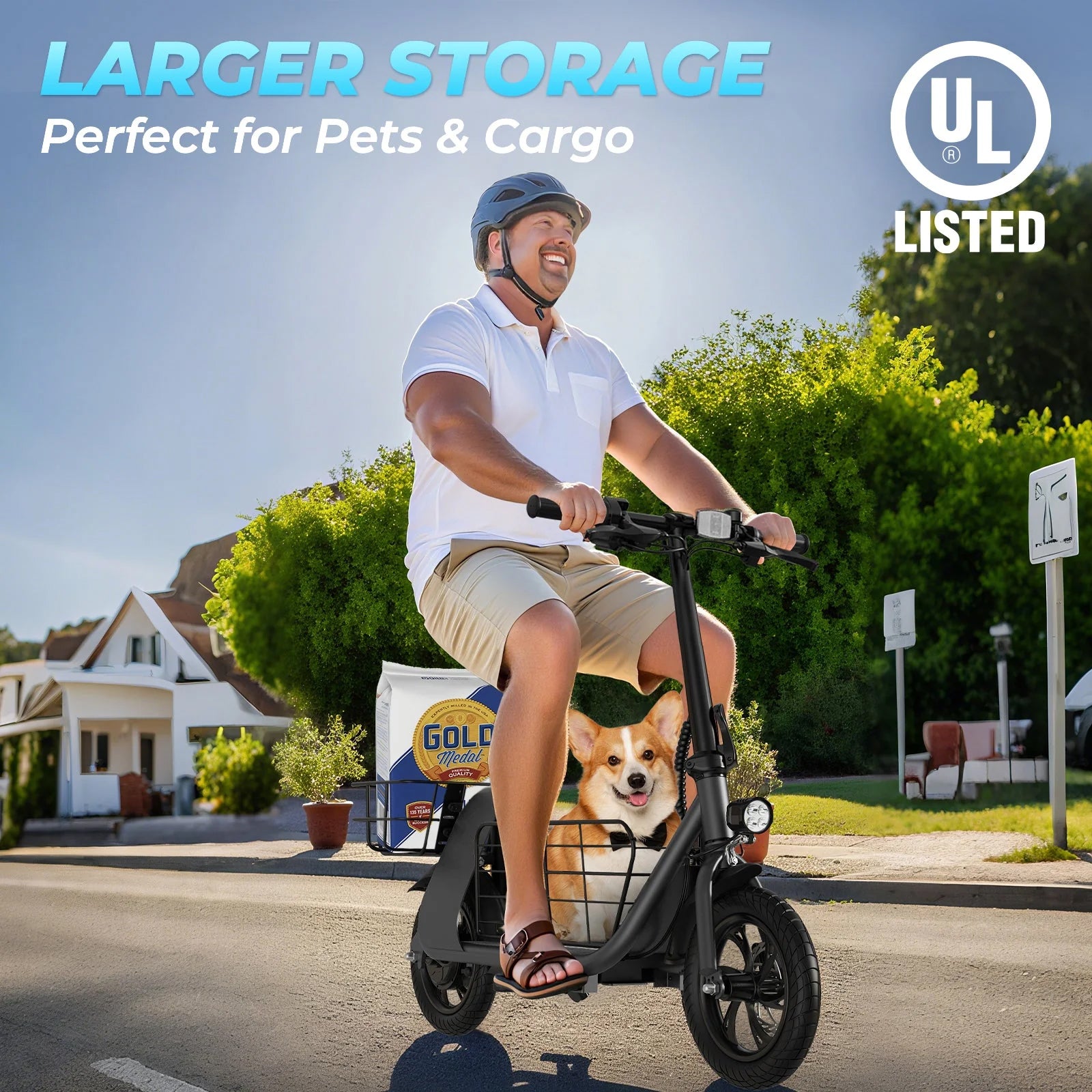 WINDHORSE Urban Cruiser Cargo Electric Scooter with Seat, 450W Brushless Motor, 20 Miles Max Range, 20 MPH Max Speed