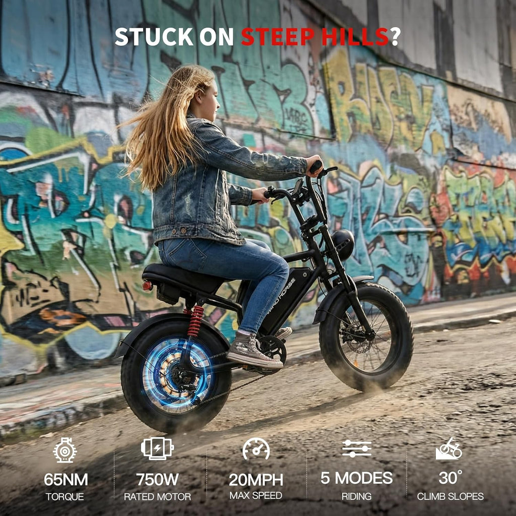 WINDHORSE V8 Electric Bike - 750W Motor - 48V 15.6Ah 748.8Wh Removable Battery - 7-speed drivetrain - Full Suspension