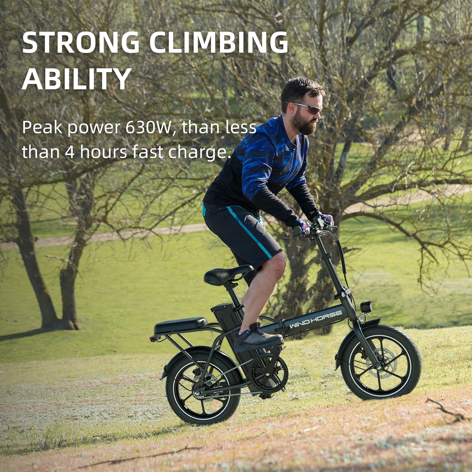 WINDHORSE 16" Folding Electric Bike for Adults, 630W Peak Power, 20MPH, 35-Mile Range, 288Wh Removable Battery with Lock